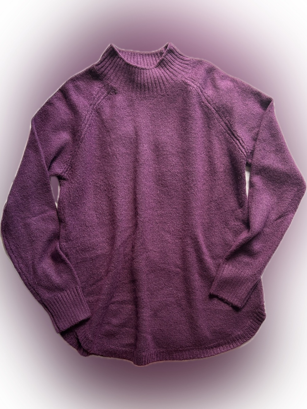🌸 3/$30 Reitmans Plum Mockneck Sweater